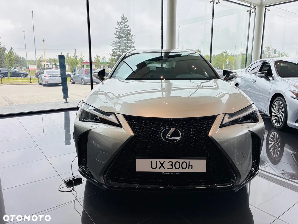 Lexus UX 300h F Sport Design - 10