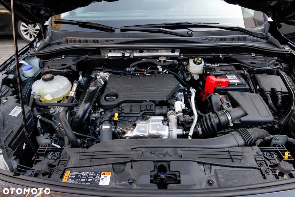 Ford Kuga 1.5 EcoBlue FWD Titanium - 8