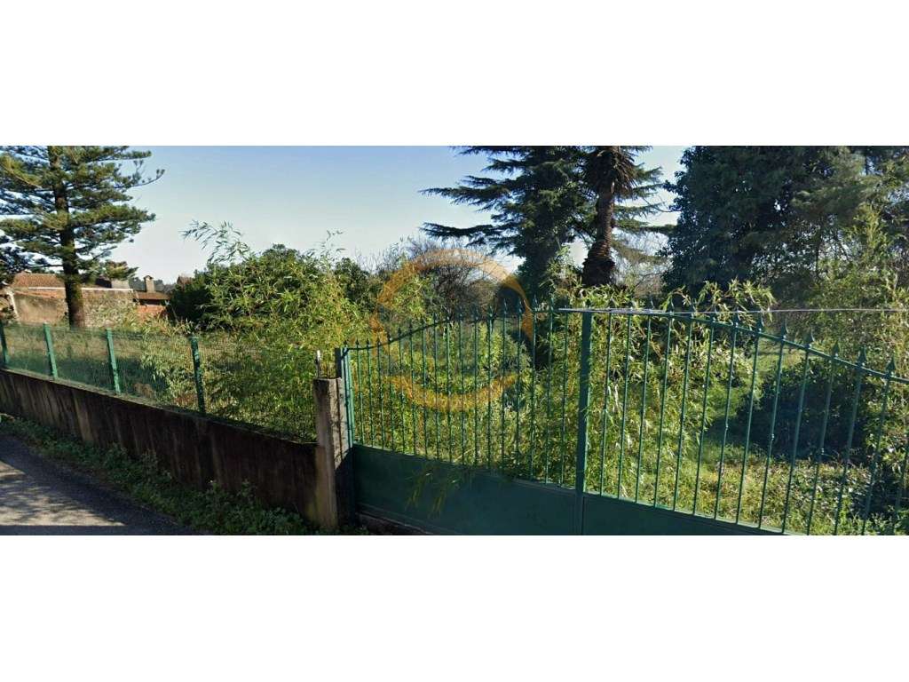 Terreno Urbano Anadia Aveiro - Grande imagem: 3/3