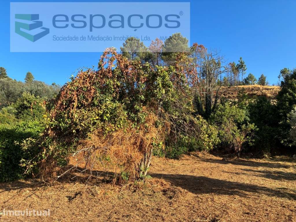 Terreno em Lavacolhos - Grande imagem: 2/14