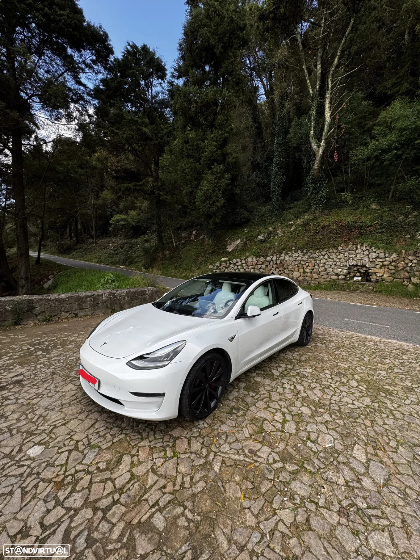 Tesla Model 3 Performance Dual Motor AWD - 2
