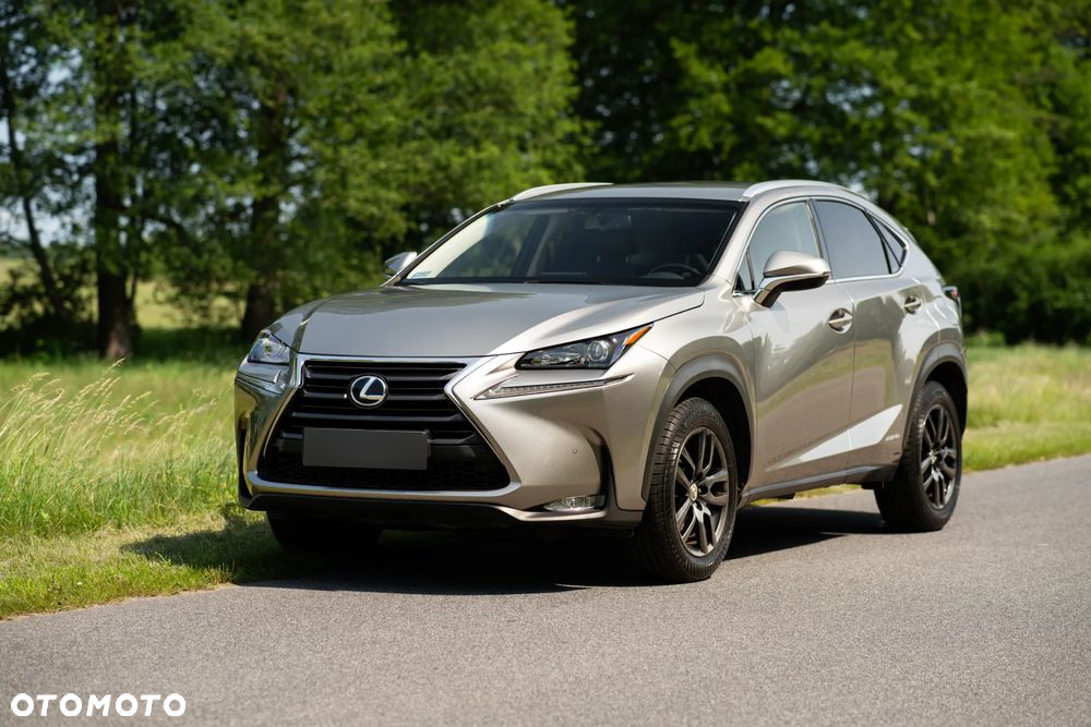 Lexus NX - 2