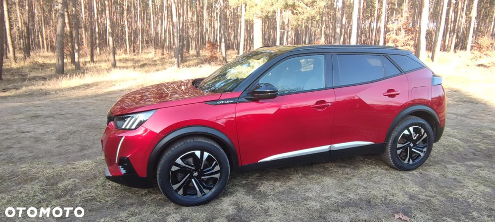 Peugeot 2008 1.5 BlueHDi GT Line S&S EAT8 - 12