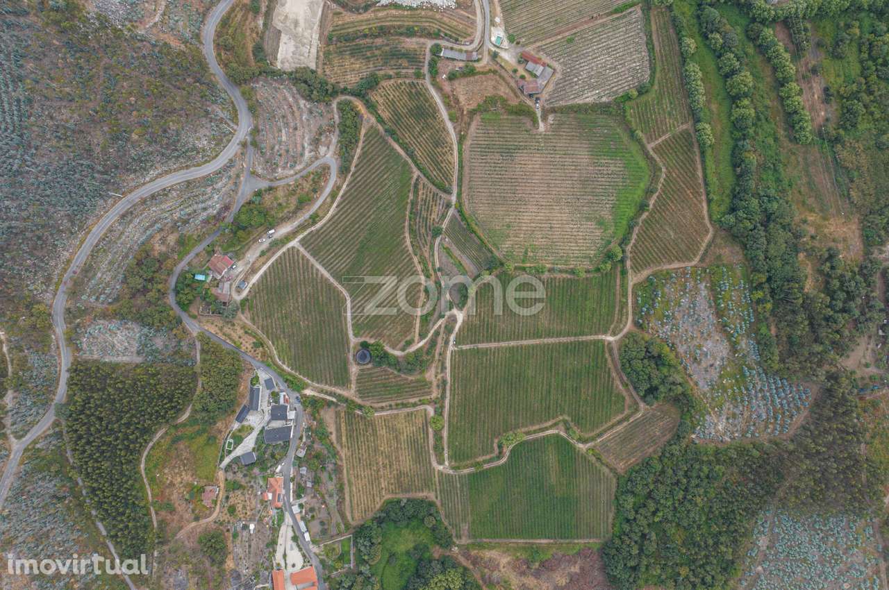 Quinta de Gonça - Grande imagem: 3/24