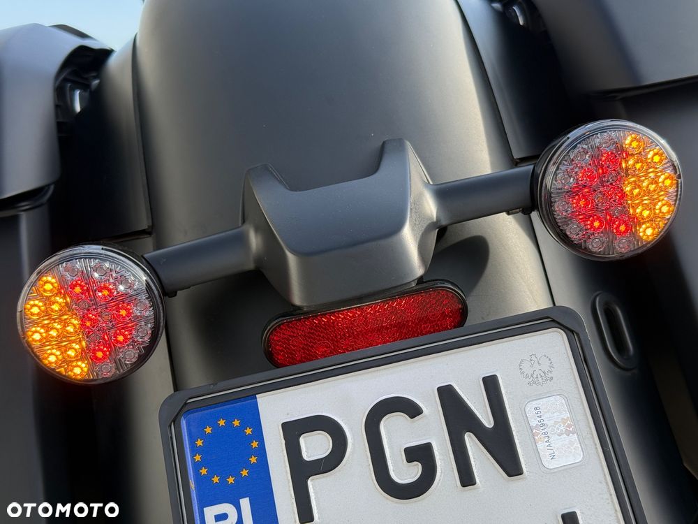 Indian Springfield - 13