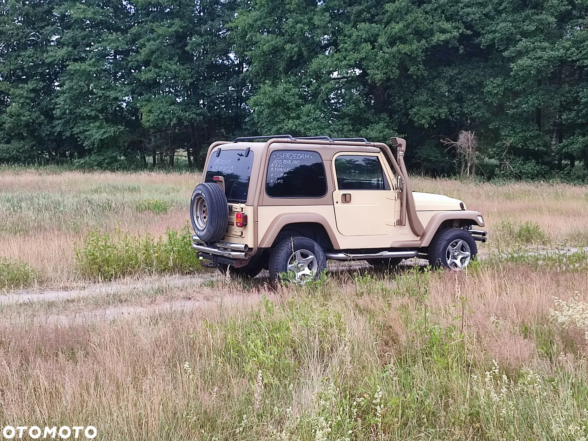 Jeep Wrangler 4.0 Sport - 5
