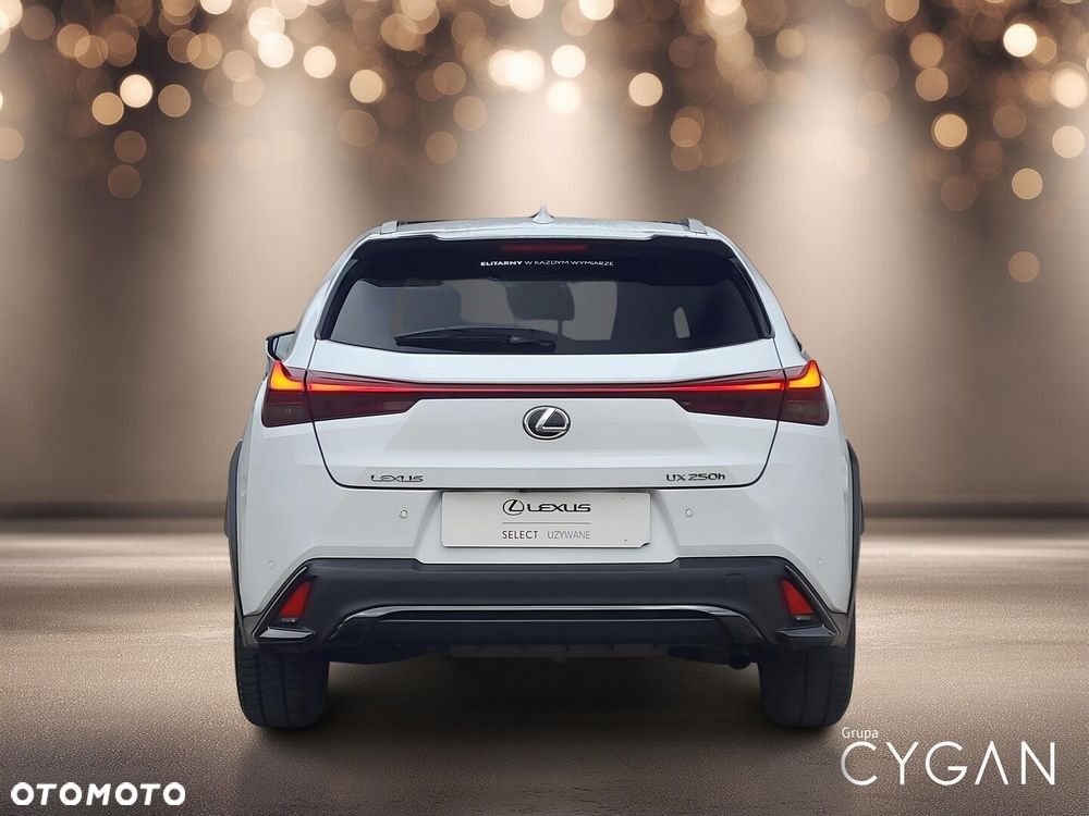 Lexus UX 250h GPF F Sport Design 2WD - 6