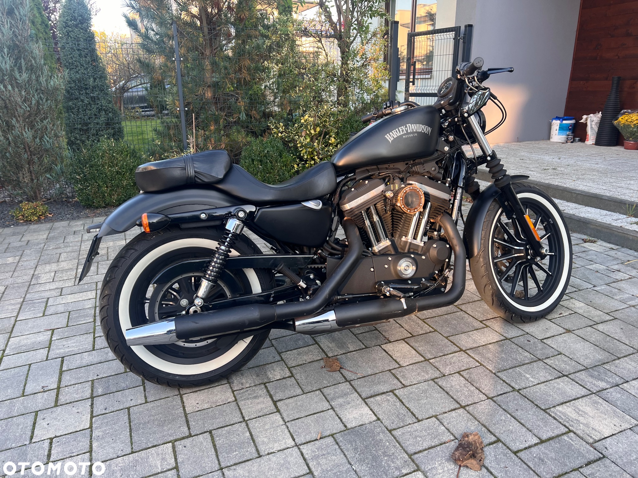 Harley-Davidson Sportster Iron 883 - 2
