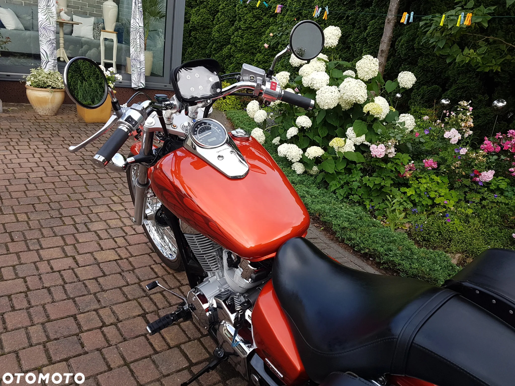 Honda Shadow - 19