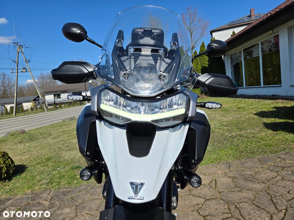 Triumph Tiger - 19