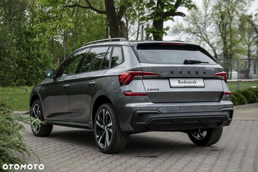 Skoda Kamiq - 10