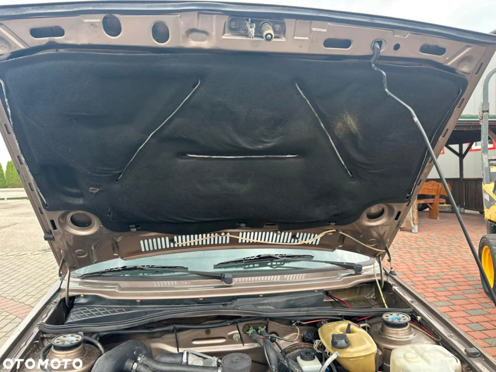 Volkswagen Golf - 22