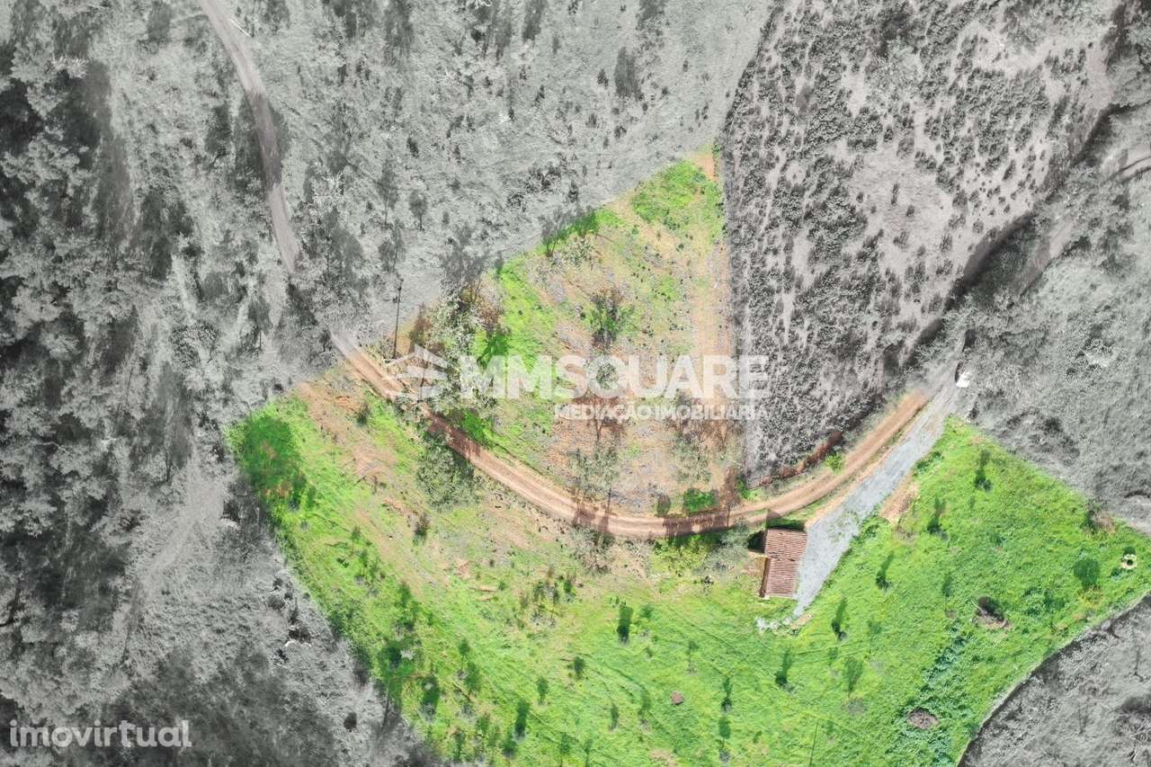 Quintinha  Venda em Garvão e Santa Luzia,Ourique - Grande imagem: 3/20