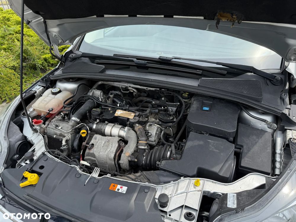 Ford Focus 1.6 TDCi Gold X - 31