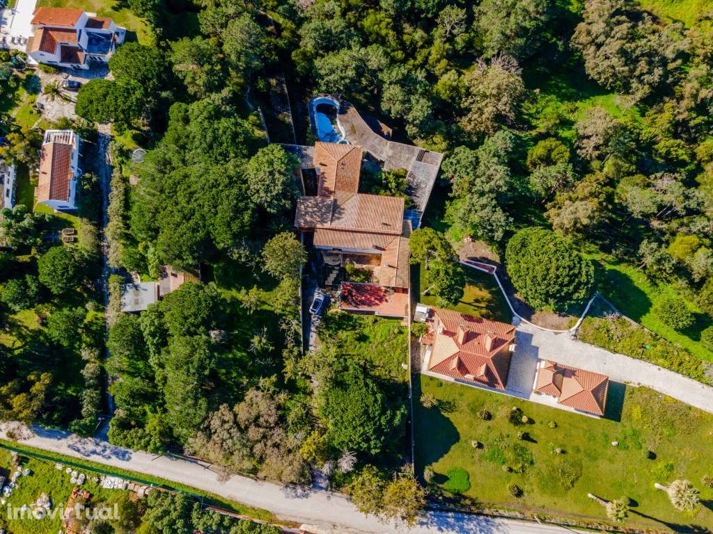 Propriedade Histórica Arriba Fóssil da Costa da Caparica - Grande imagem: 2/26