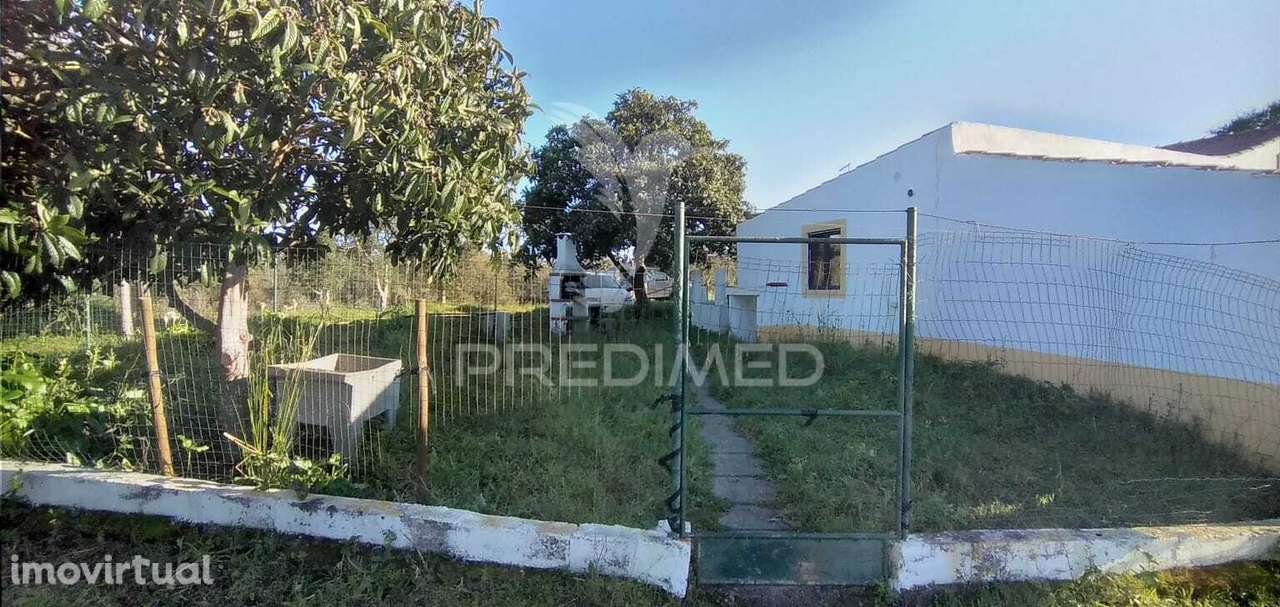 Monte Alentejano com 3 habitações e Piscina, Santa Cruz, Santiago d... - Grande imagem: 5/17
