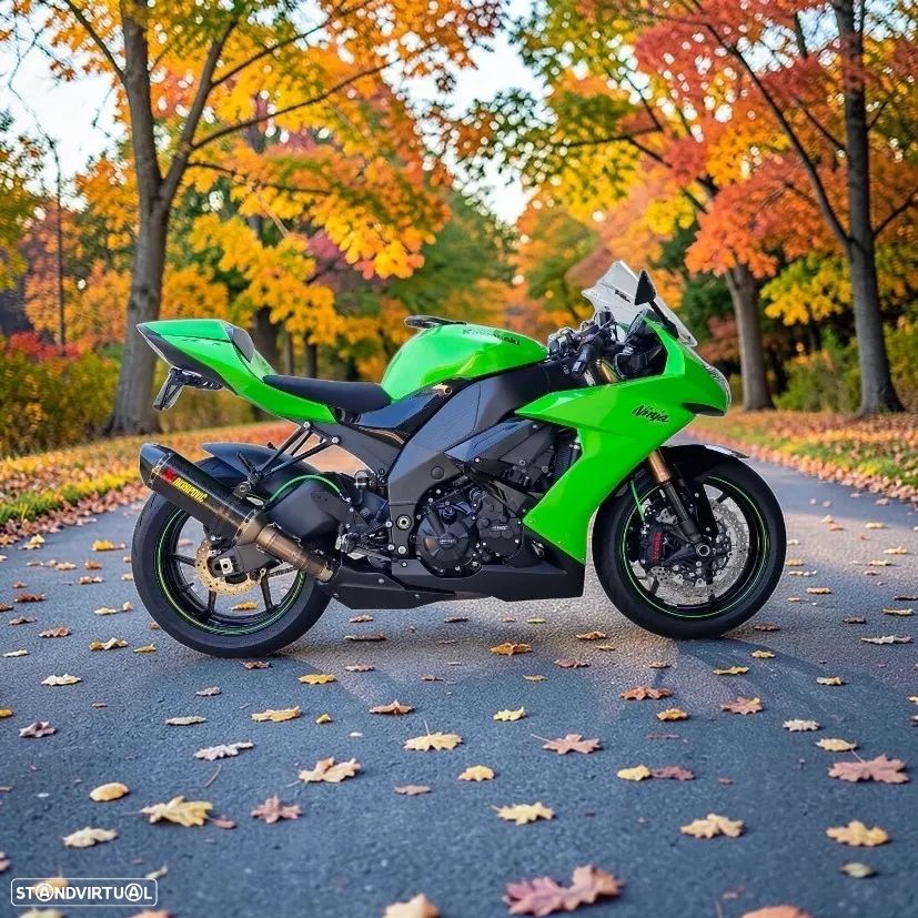 Kawasaki Ninja ZX-10R - 1