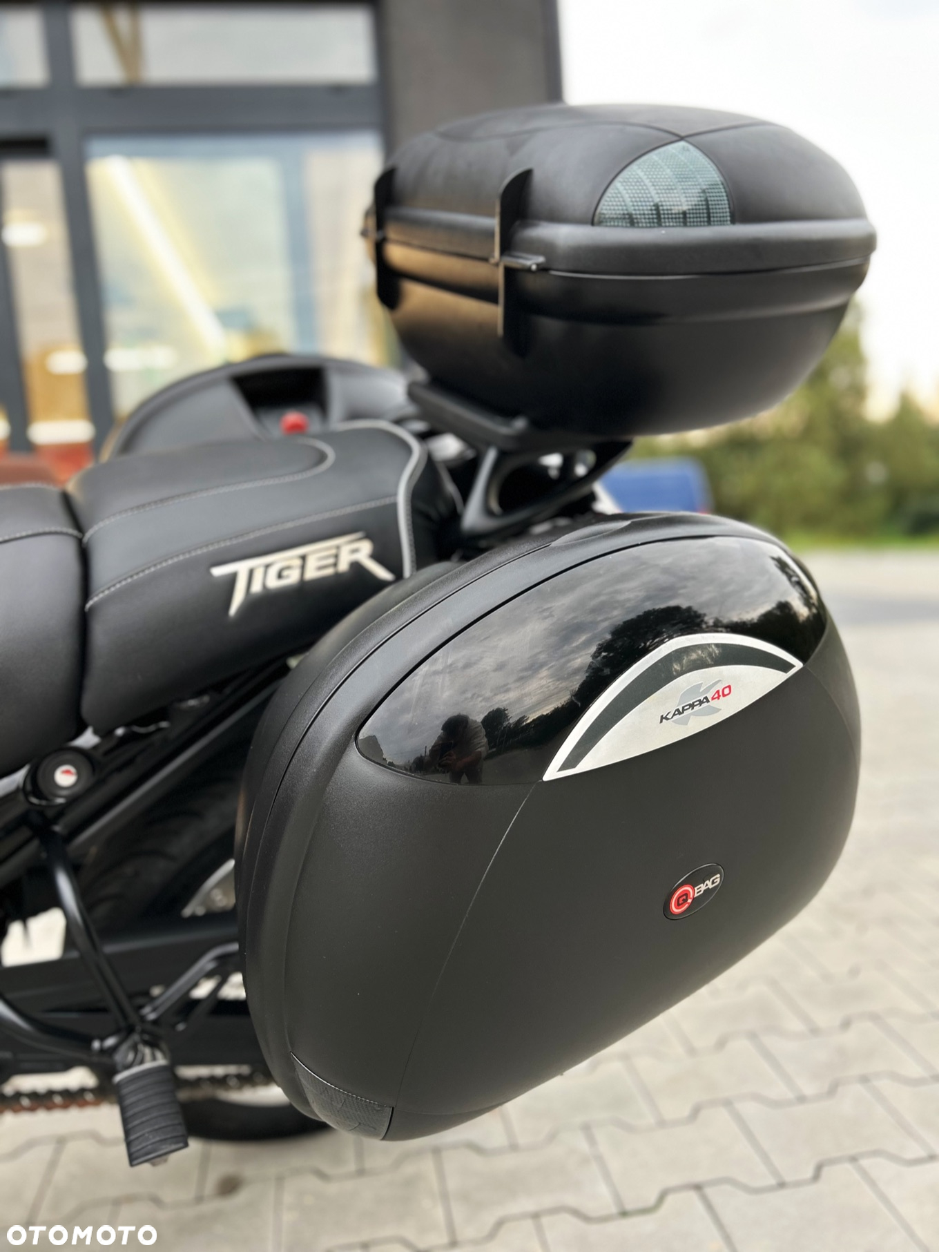 Triumph Tiger - 20