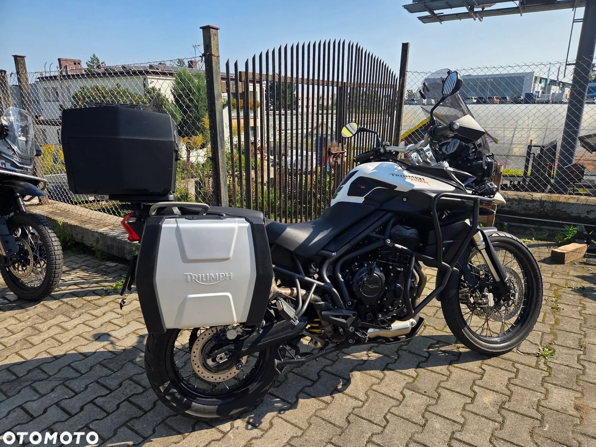 Triumph Tiger - 1