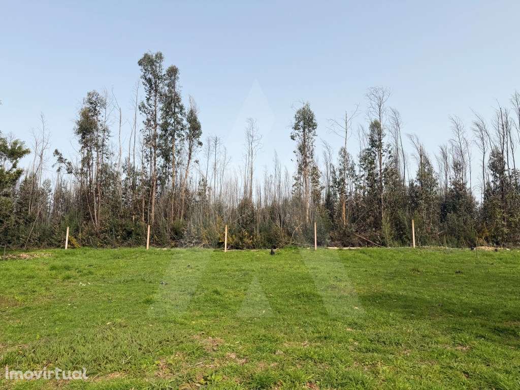 Terreno rústico em Assilhó - Albergaria-a-Velha - Grande imagem: 4/22
