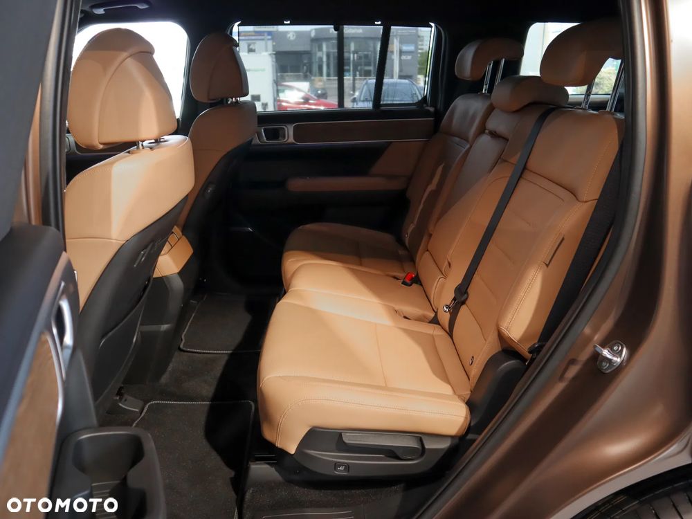 Hyundai Santa Fe 1.6 T-GDI HEV Platinum 4WD - 20