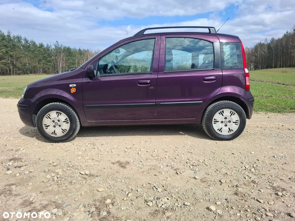 Fiat Panda 1.2 Active - 2