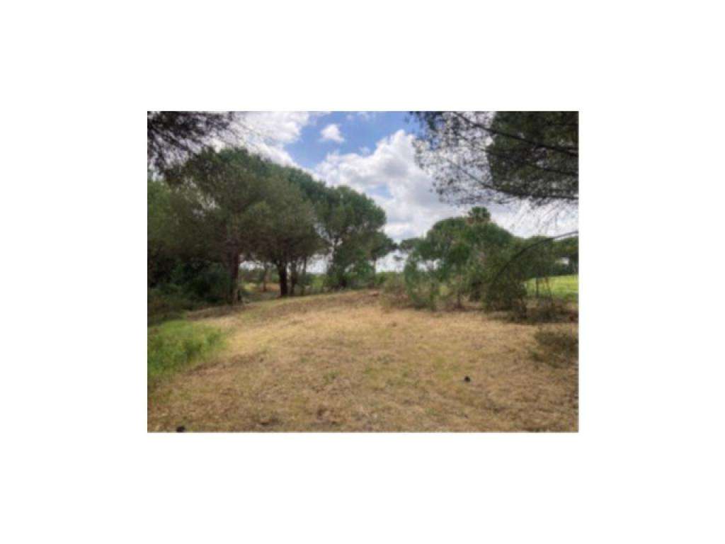 Terreno - até 100% Financiamento - Grande imagem: 5/5