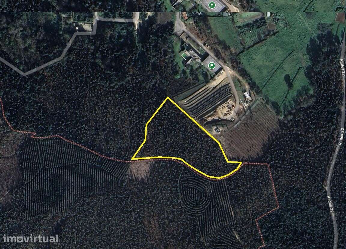 Terreno Rústico com 15.536,9m² em Pinheiro da Bemposta OAZ - Grande imagem: 2/3