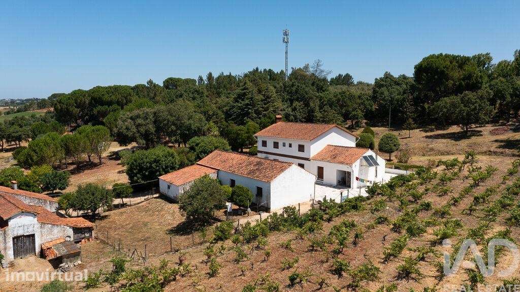 Casa / Villa T4 em Tomar (São João Baptista) e Santa Maria dos Olivais - Grande imagem: 3/30