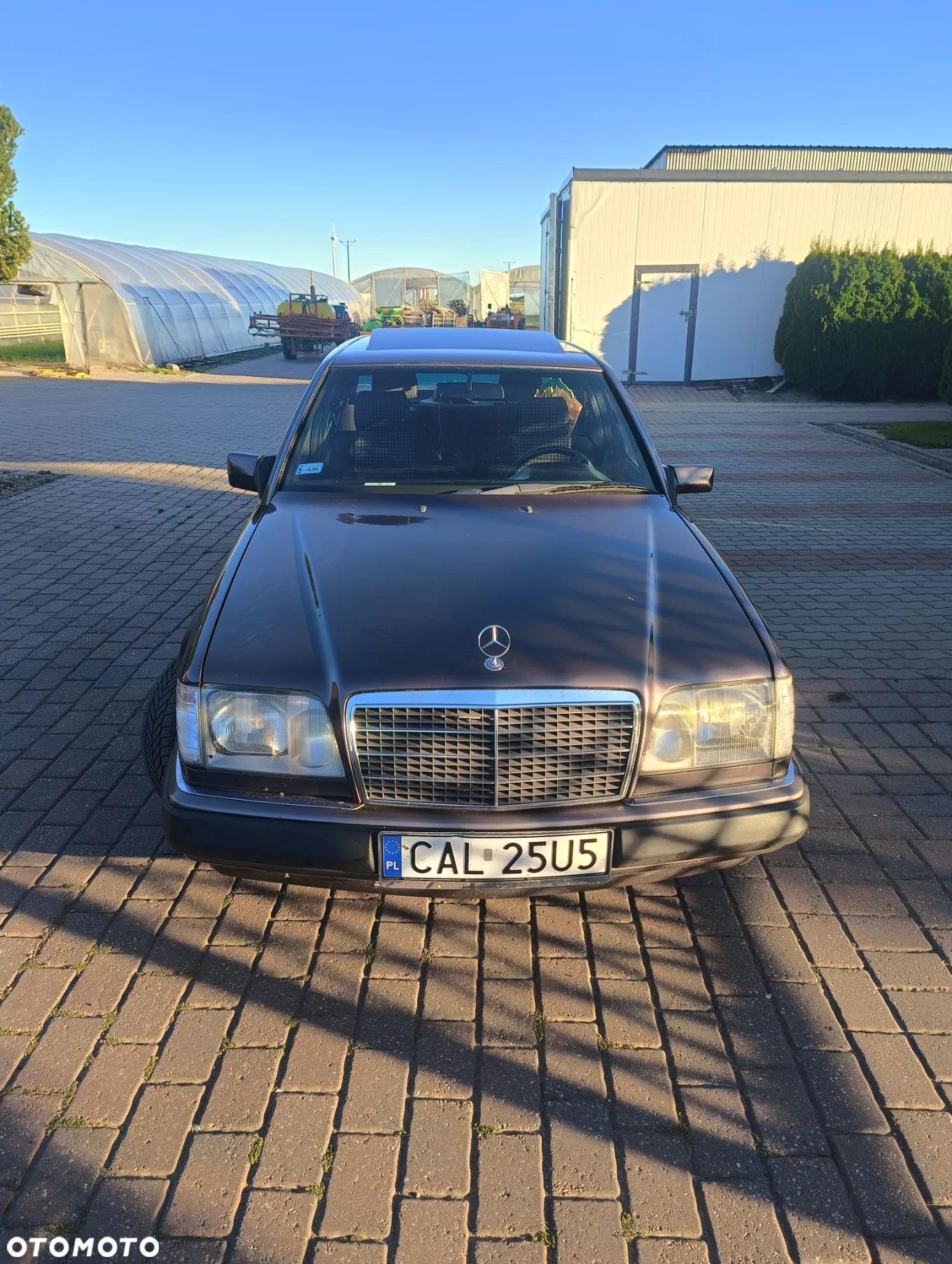 Mercedes-Benz W124 (1984-1993) - 3