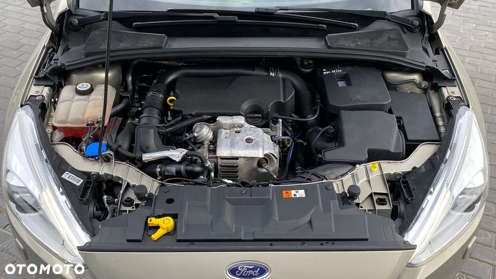 Ford Focus 1.0 EcoBoost Trend Sport - 19