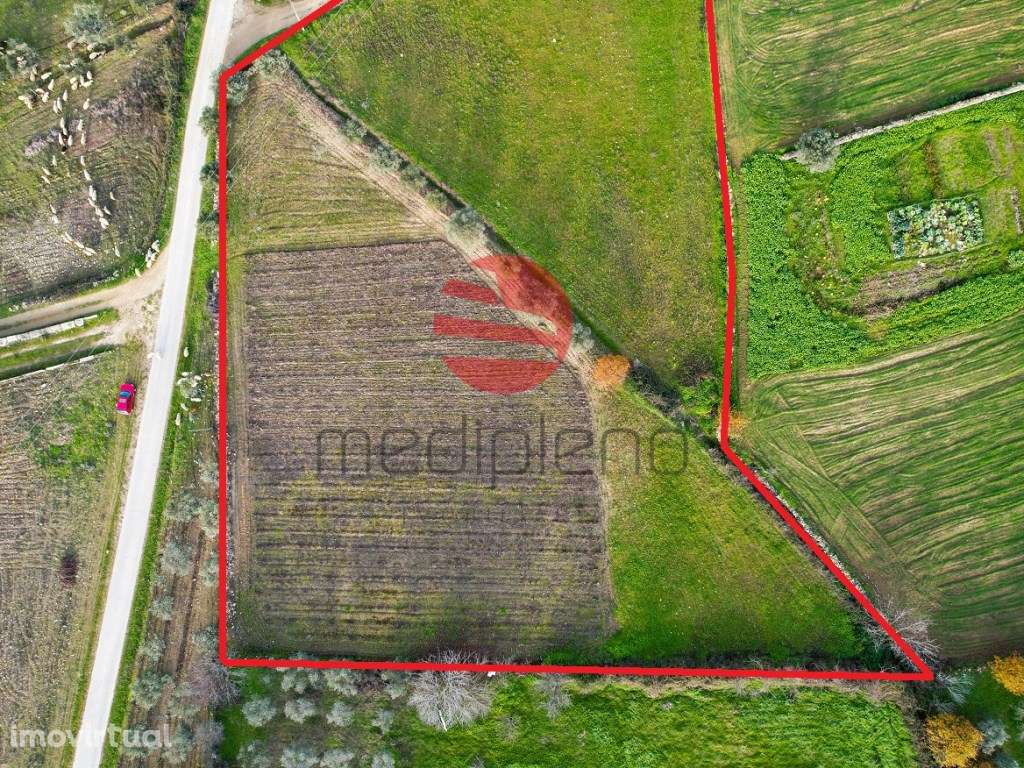 TERRENO RÚSTICO - Grande imagem: 4/6