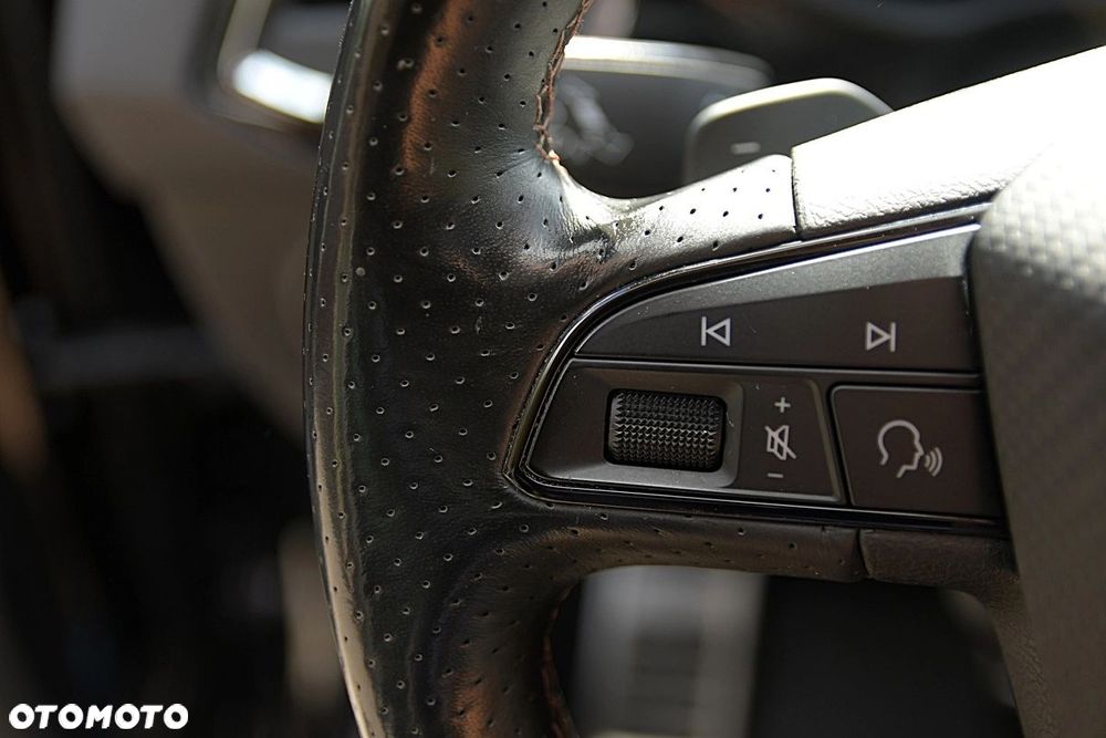 Cupra Ateca 2.0 TSI 4Drive Limited Edition 4 DSG - 14