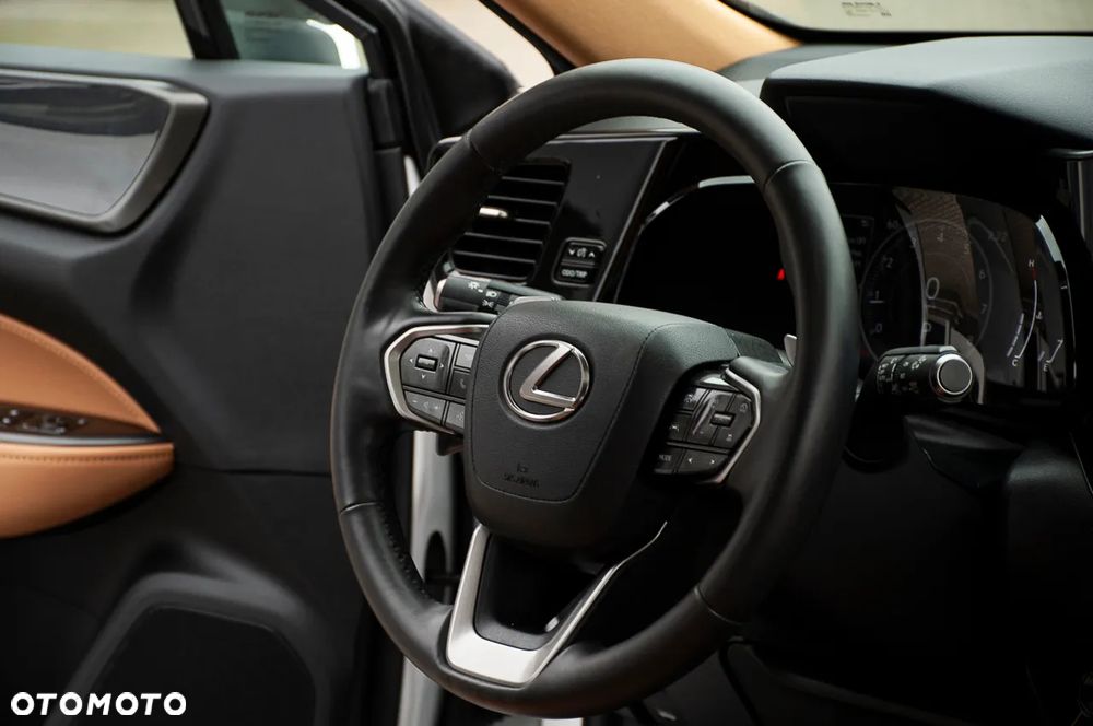 Lexus NX - 23