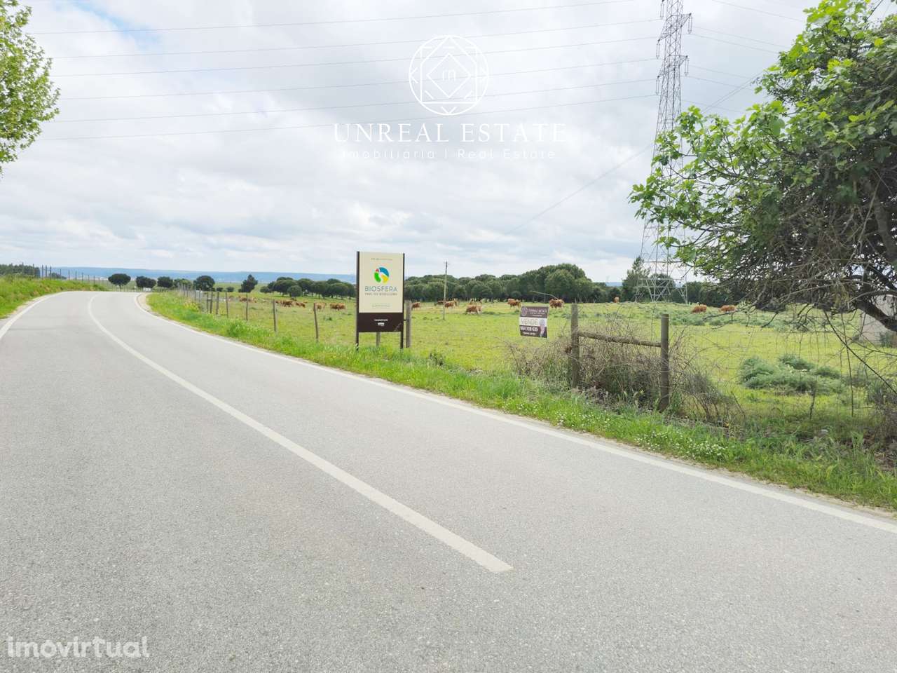 Lote de Terreno  Venda em Brogueira, Parceiros de Igreja e Alcorochel, - Grande imagem: 4/13