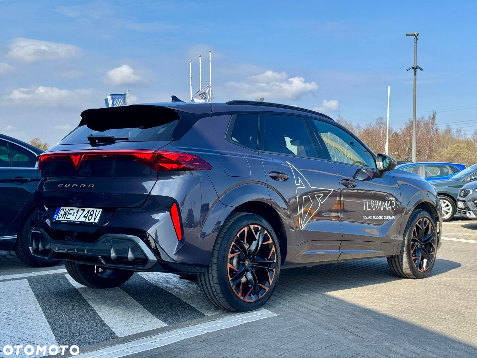 Cupra Terramar - 6