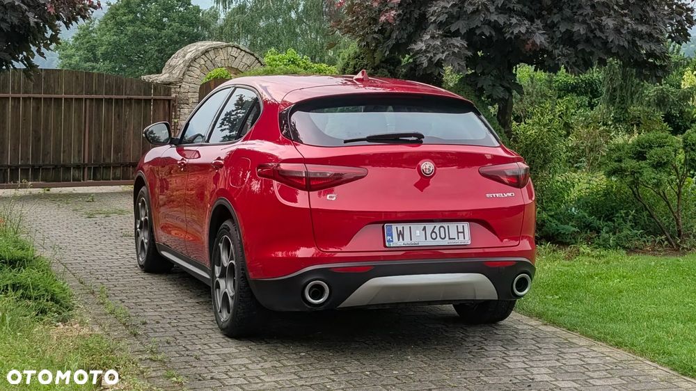 Alfa Romeo Stelvio 2.0 Turbo Q4 - 6
