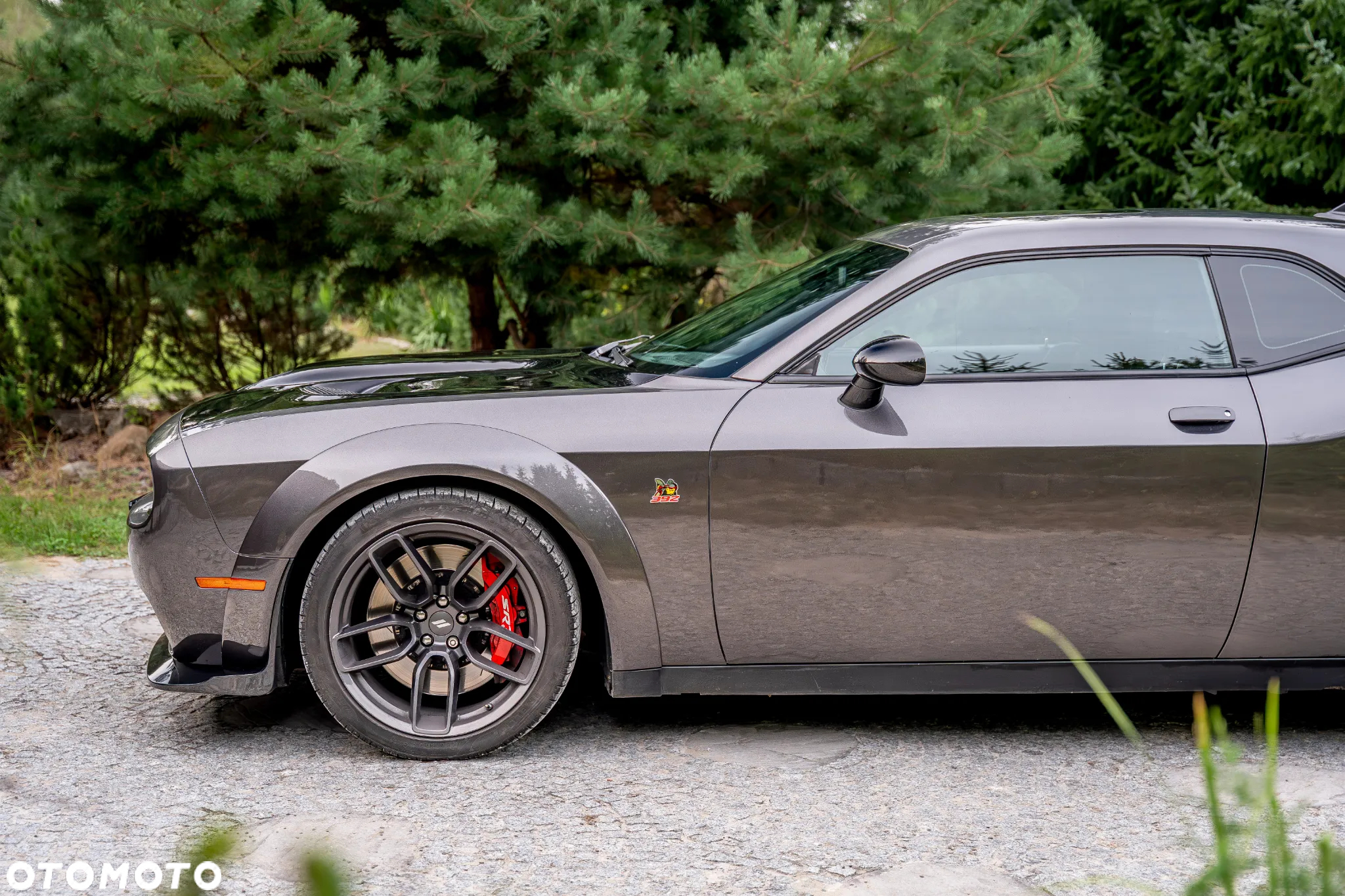 Dodge Challenger 6.4 Scat PackWidebody - 17