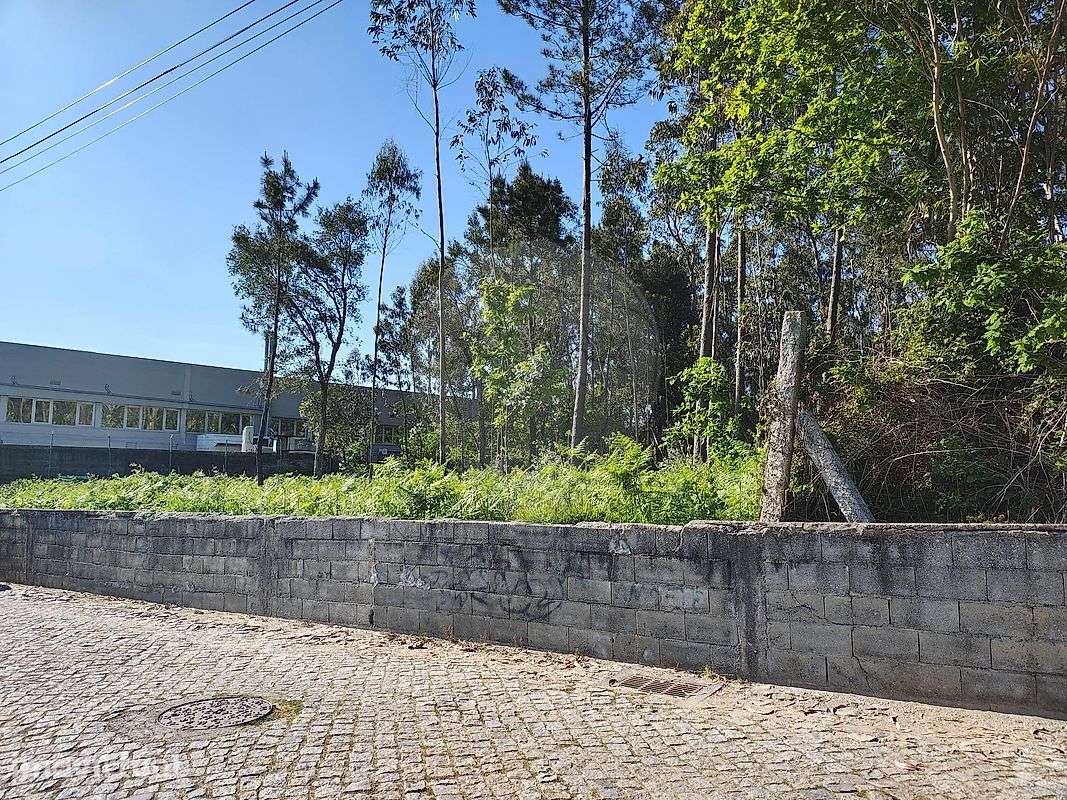 Terreno  para arrendamento - Grande imagem: 2/10