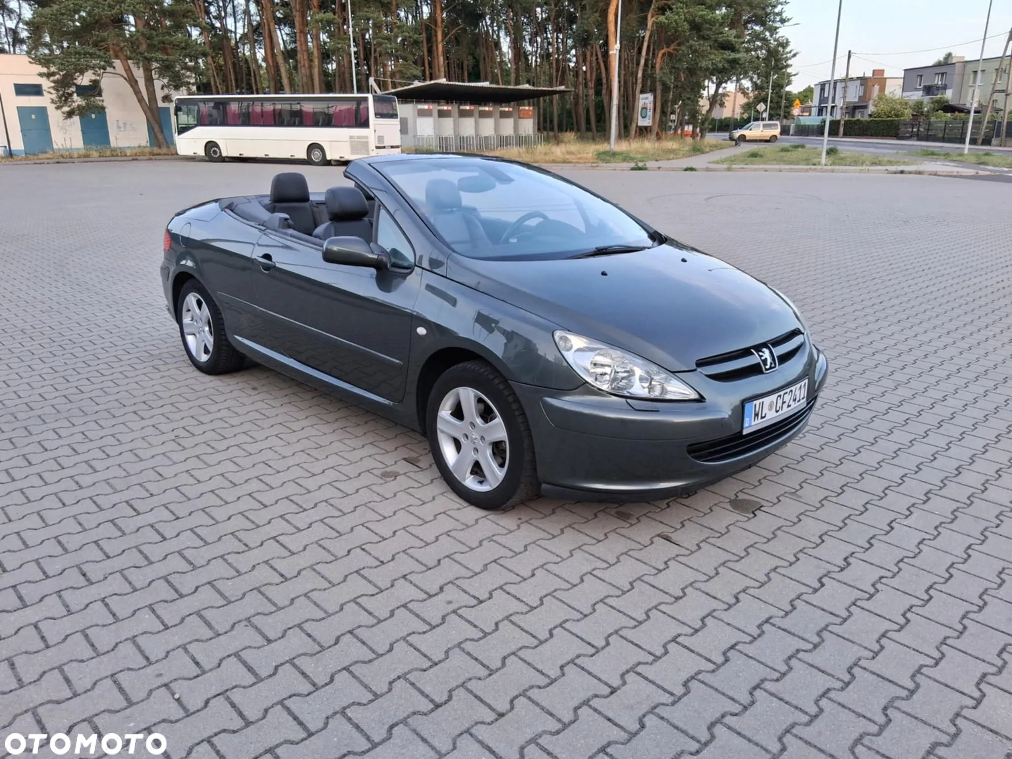 Peugeot 307 - 12