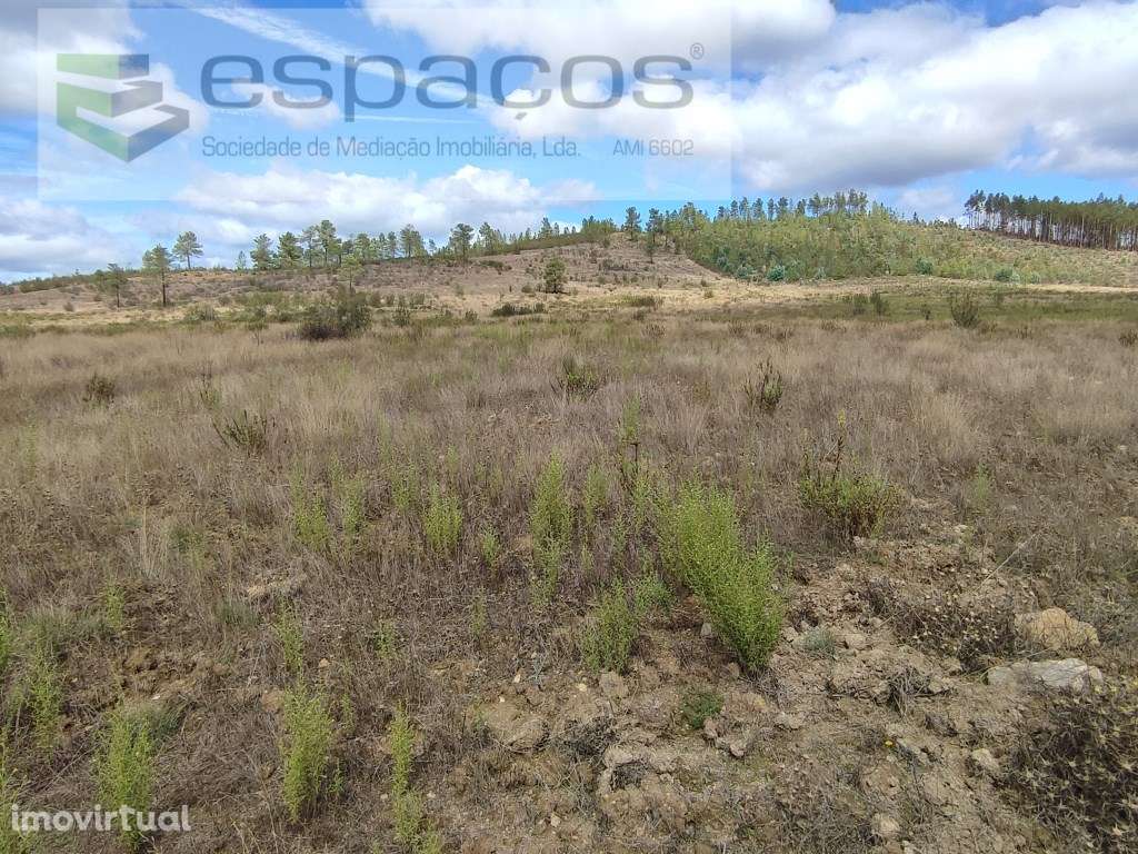Terreno rústico - Martim Branco - Grande imagem: 5/9