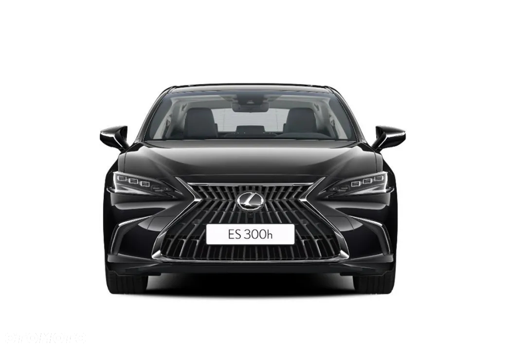 Lexus ES 300h Omotenashi - 2