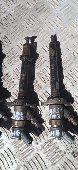 Wtryskiwacze Peugeot Citroen 1.6 HDi 0445110259 - 1