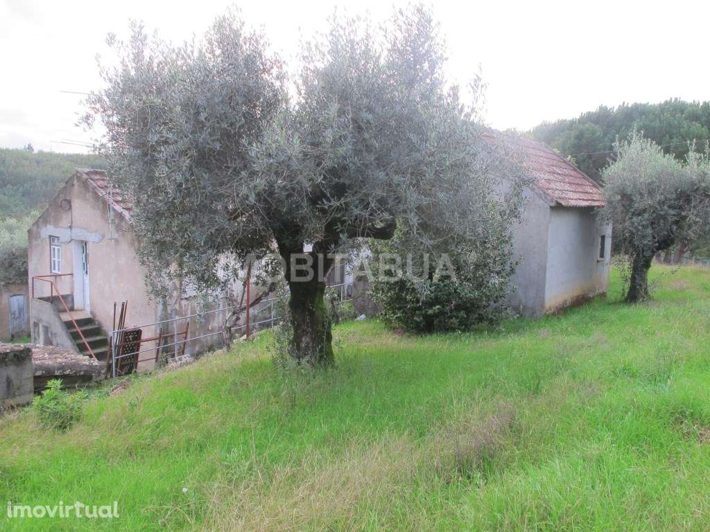 Moradia para recuperar - Grande imagem: 2/25