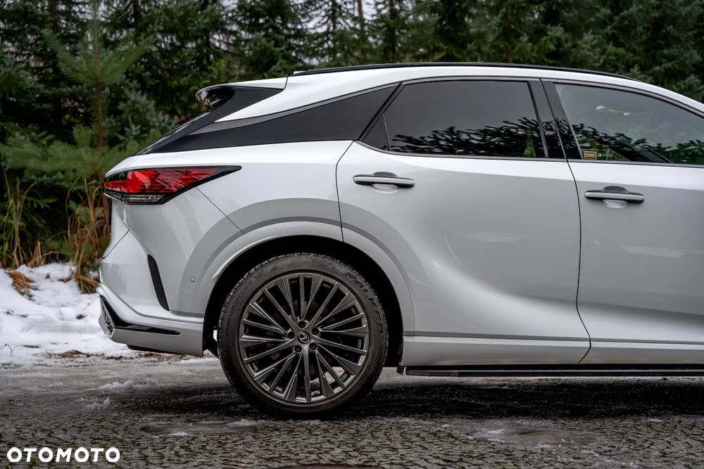 Lexus RX 500h F Sport Edition - 18