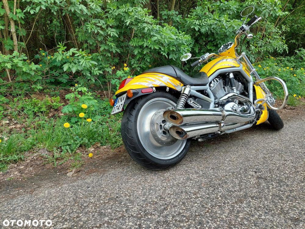 Harley-Davidson V-Rod Muscle - 15