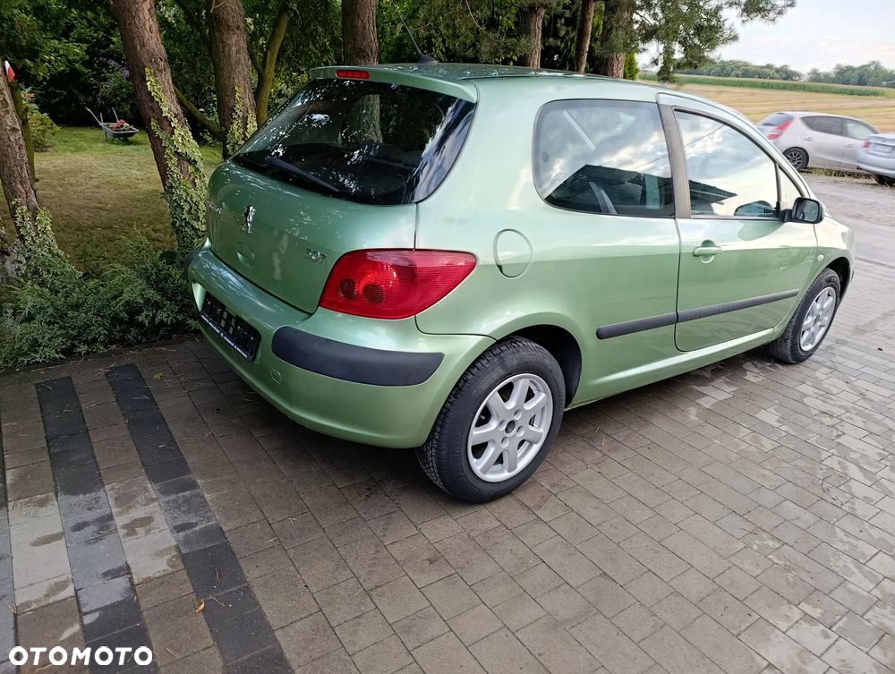 Peugeot 307 110 Grand Filou - 23