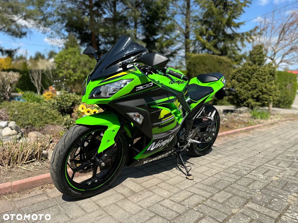 Kawasaki Ninja 300 ABS - 9