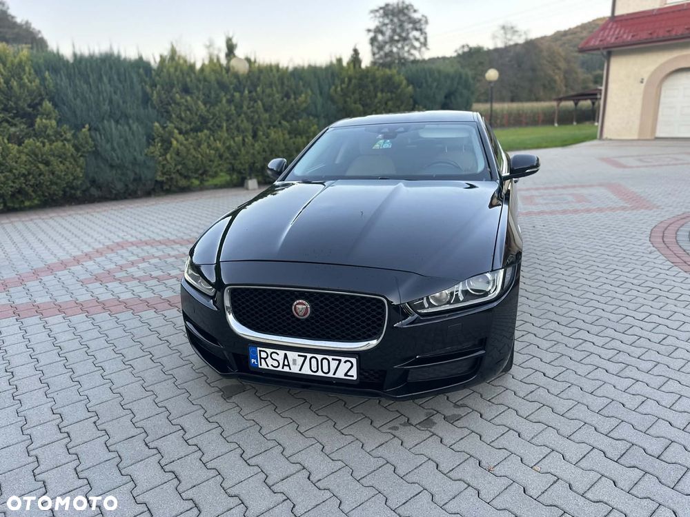 Jaguar XE E-Performance Pure - 1