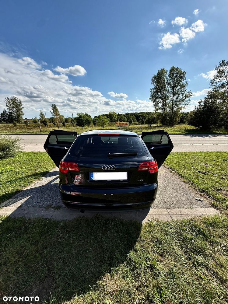 Audi A3 1.6 TDI DPF Ambition - 5